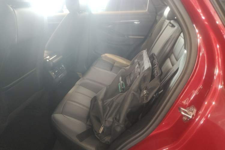 Used Land Rover Range Evoque 2020 249 PS R-DYNAMIC SE Sport Technology Edition Left Rear Seat