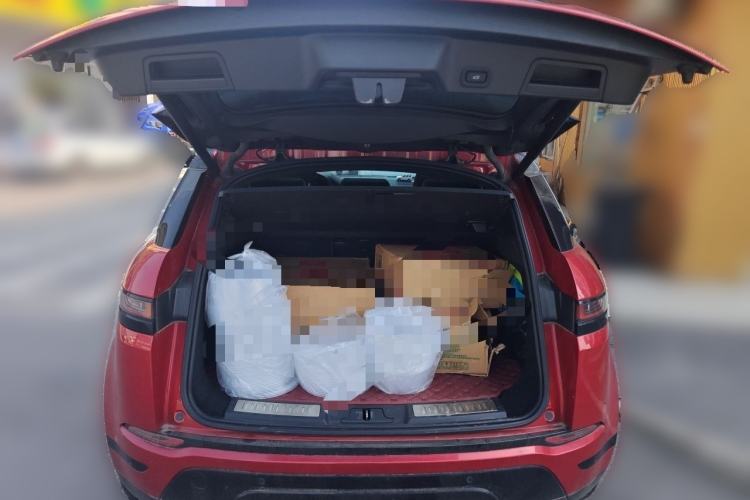 Used Land Rover Range Evoque 2020 249 PS R-DYNAMIC S First-Edition Sport Custom Edition Trunk