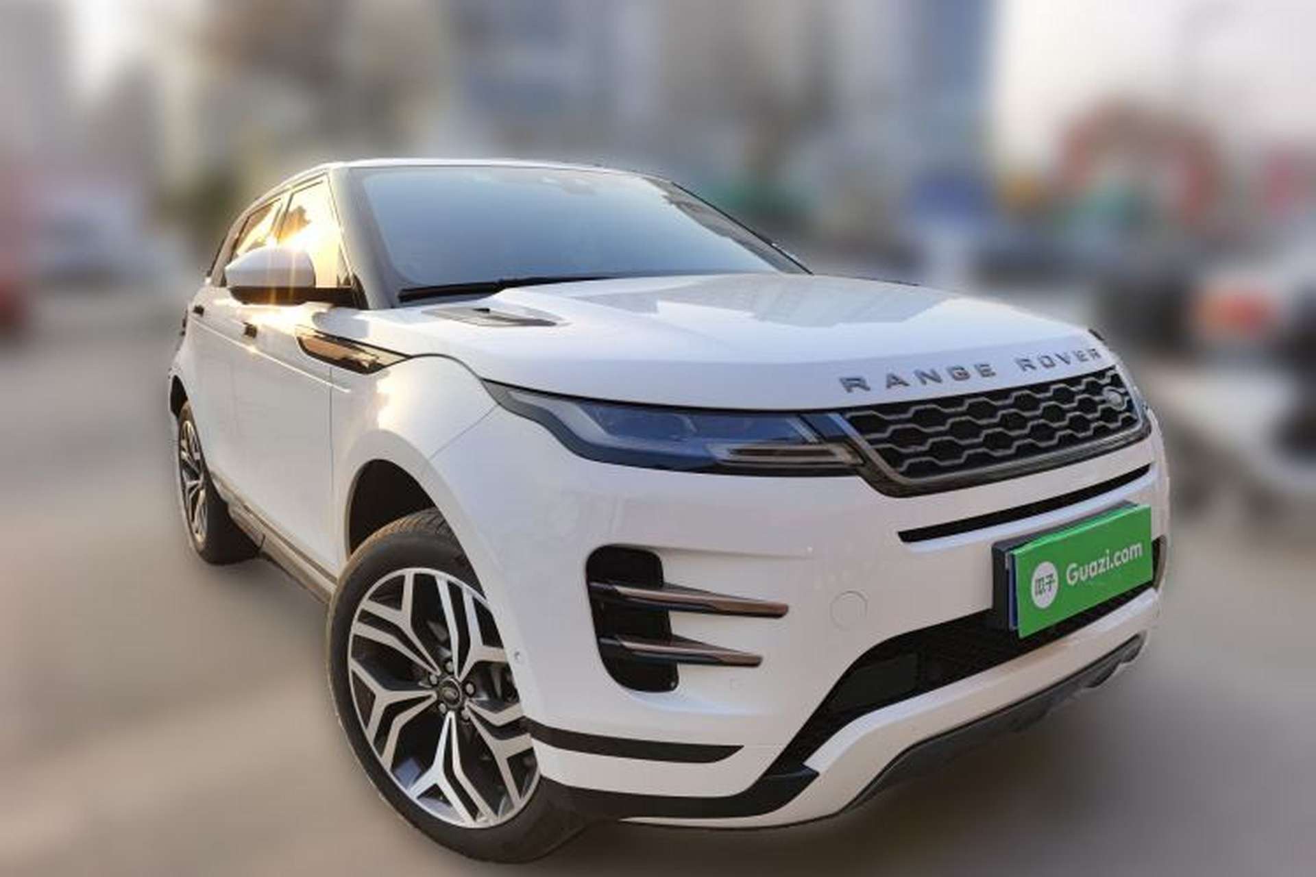 Used Land Rover Range Evoque 2020 249 PS R-DYNAMIC SE Sport Technology Edition Front Right 45 Deg