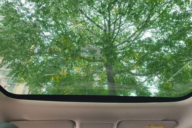 Used Land Rover Range Evoque 2020 249 PS R-DYNAMIC SE Sport Technology Edition Headliner