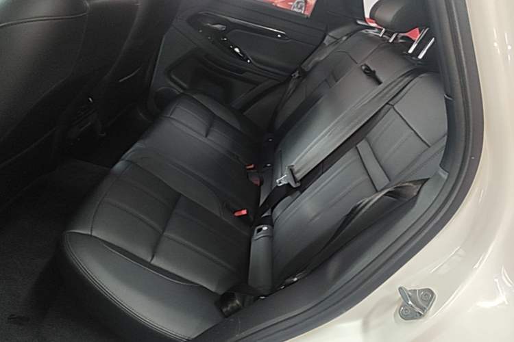 Used Land Rover Range Evoque 2020 249 PS R-DYNAMIC S Black Edition Sport Version Left Rear Seat