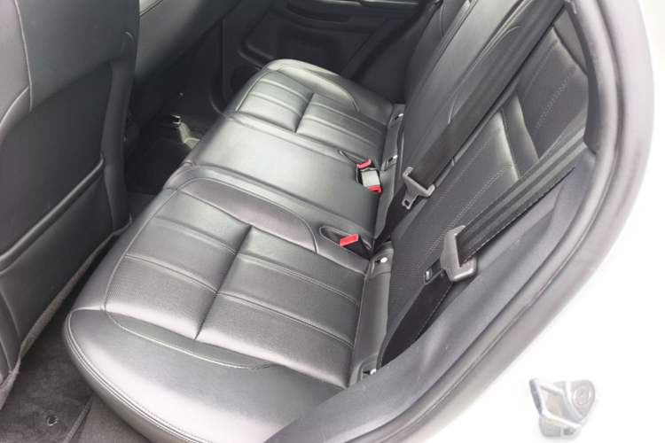 Used Land Rover Range Evoque 2020 249 PS R-DYNAMIC S Sport Edition Left Rear Seat