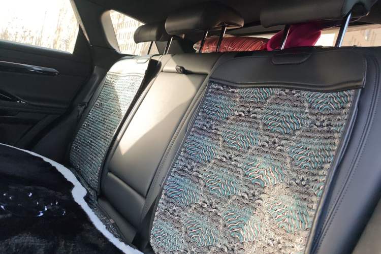 Used Land Rover Range Evoque 2020 249 PS R-DYNAMIC S Sport Edition Left Rear Seat