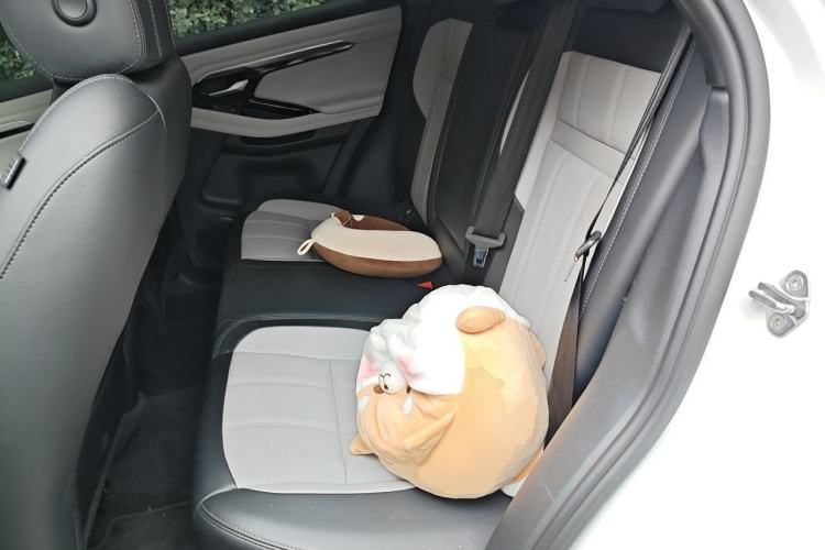 Used Land Rover Range Evoque 2020 249 PS R-DYNAMIC SE Sport Technology Edition Left Rear Seat