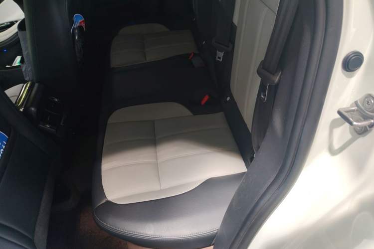 Used Land Rover Range Evoque 2020 249 PS R-DYNAMIC SE Sport Technology Edition Left Rear Seat