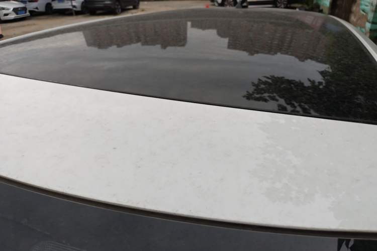 Used Land Rover Range Evoque 2020 249 PS R-DYNAMIC SE Sport Technology Edition Roof