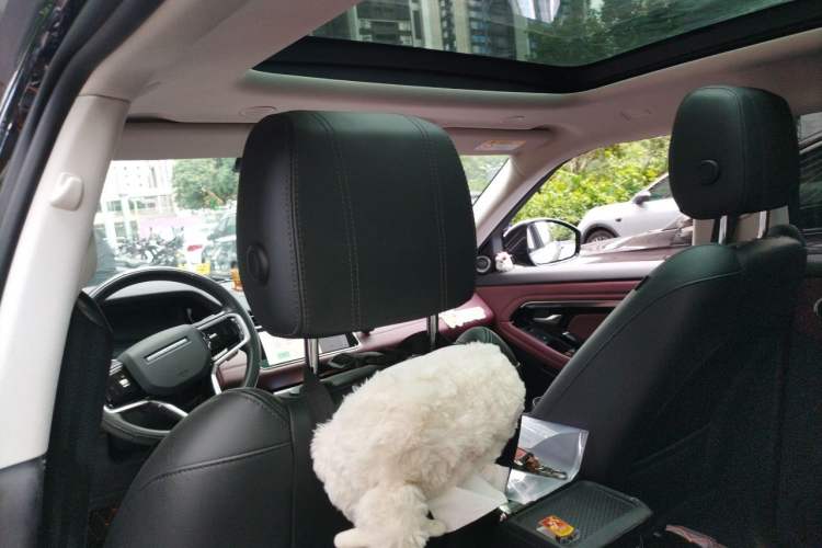 Used Land Rover Range Evoque 2021 Range Rover Velar L 249PS R-Dynamic First Edition Headliner
