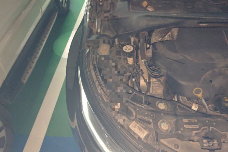 Used Land Rover Range Evoque 2021 Range Rover Velar L 249PS R-Dynamic First Edition Engine Bay Right