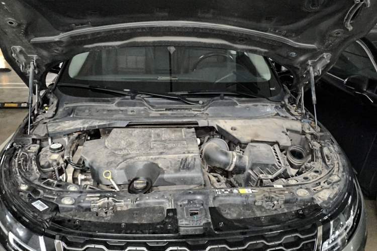Used Land Rover Range Evoque 2022 Aurora L 249 PS R-Dynamic Luxury Edition Engine Bay