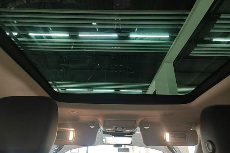 Used Land Rover Range Evoque 2022 Aurora L 249 PS R-Dynamic Luxury Edition Headliner