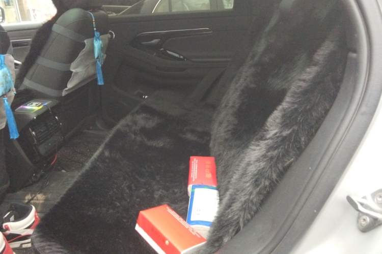 Used Land Rover Range Evoque 2022 Aurora L 249 PS R-Dynamic Luxury Edition Left Rear Seat