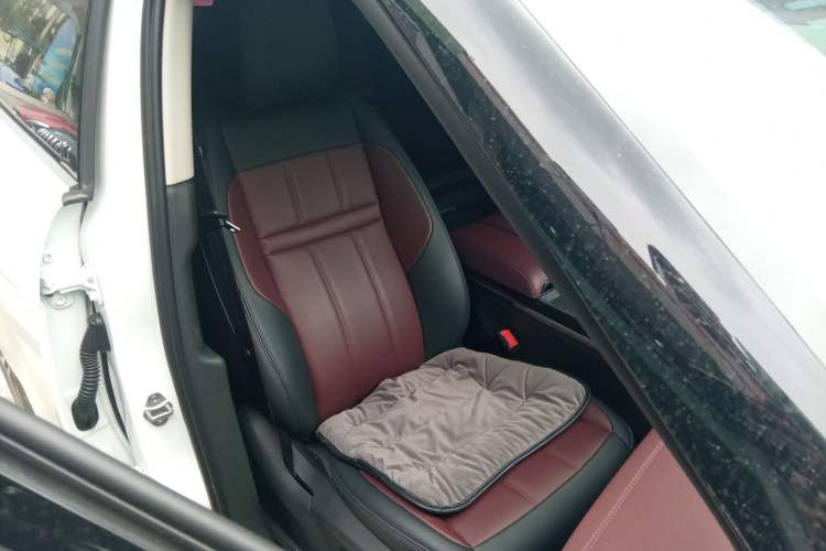 Used Land Rover Range Evoque 2022 Aurora L 249 PS R-Dynamic Luxury Edition Right Front Seat