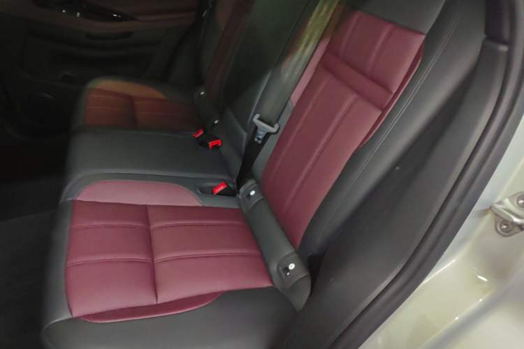 Used Land Rover Range Evoque 2023 Aurora L 249 PS Luxury Edition Left Rear Seat