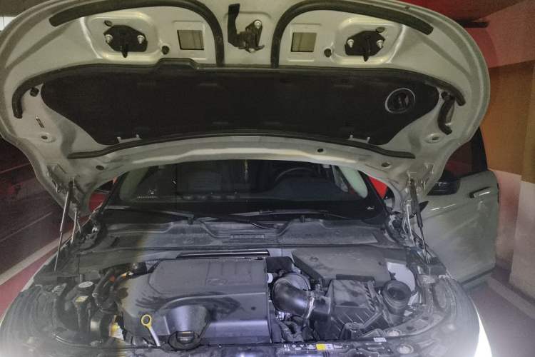 Used Land Rover Range Evoque 2023 Aurora L 249 PS Collins Antique Bronze Special Edition Engine Bay