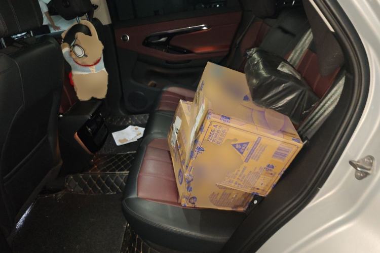 Used Land Rover Range Evoque 2023 Aurora L 249 PS Luxury Edition Left Rear Seat