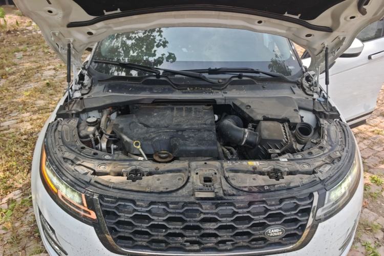 Used Land Rover Range Evoque 2023 Aurora L 249 PS Luxury Edition Engine Bay