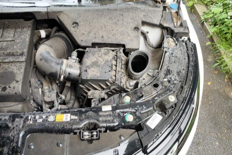 Used Land Rover Range Evoque 2023 Aurora L 249 PS Luxury Edition Engine Bay Left
