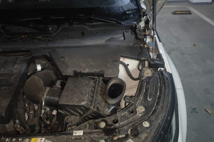 Used Land Rover Range Evoque 2023 Aurora L 249 PS Luxury Edition Engine Bay Left