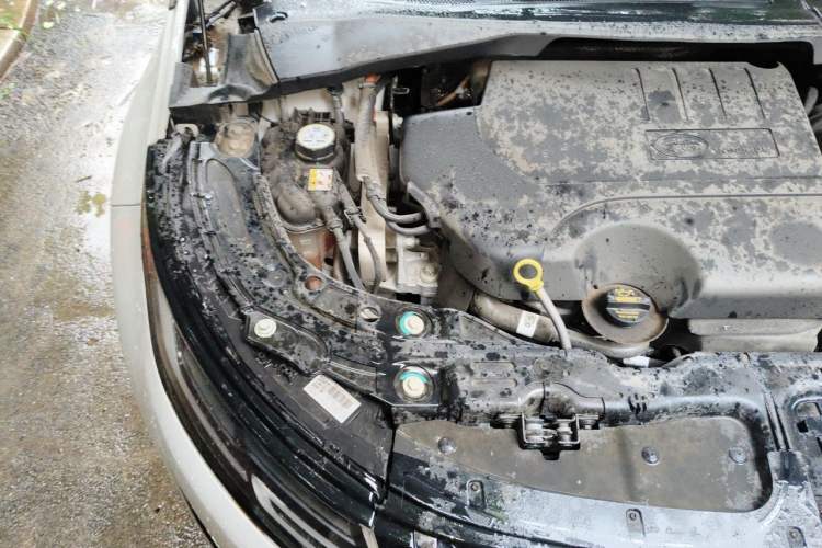 Used Land Rover Range Evoque 2023 Aurora L 249 PS Luxury Edition Engine Bay Right