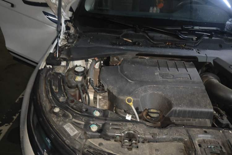 Used Land Rover Range Evoque 2023 Aurora L 249 PS Luxury Edition Engine Bay Right