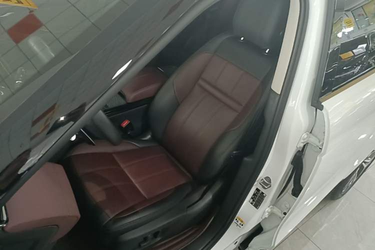 Used Land Rover Range Evoque 2023 Aurora L 249 PS Luxury Edition Left Front Seat