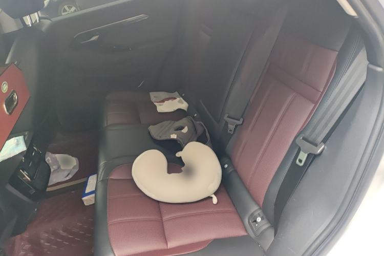 Used Land Rover Range Evoque 2023 Aurora L 249 PS Luxury Edition Left Rear Seat