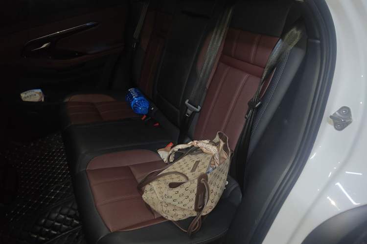 Used Land Rover Range Evoque 2023 Aurora L 249 PS Luxury Edition Left Rear Seat