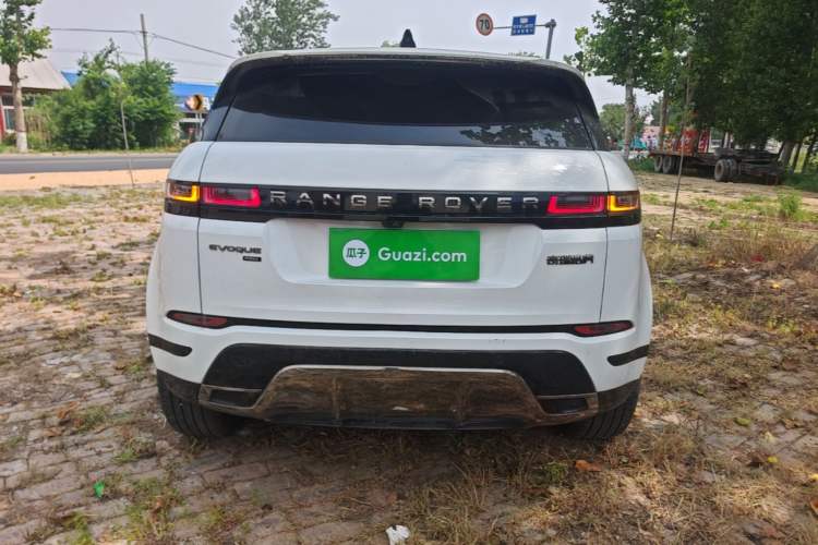 Used Land Rover Range Evoque 2023 Aurora L 249 PS Luxury Edition Rear