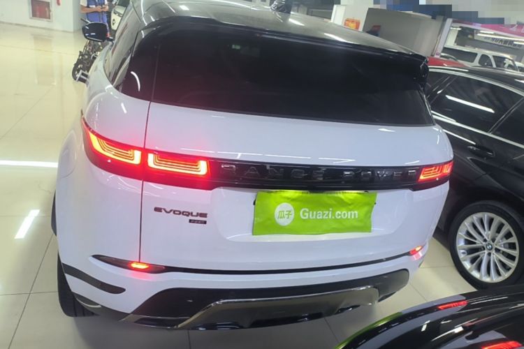 Used Land Rover Range Evoque 2023 Aurora L 249 PS Luxury Edition Rear