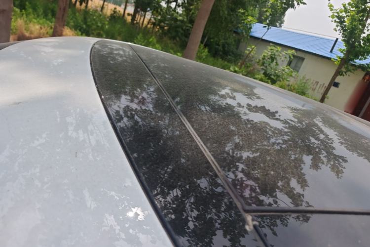 Used Land Rover Range Evoque 2023 Aurora L 249 PS Luxury Edition Roof