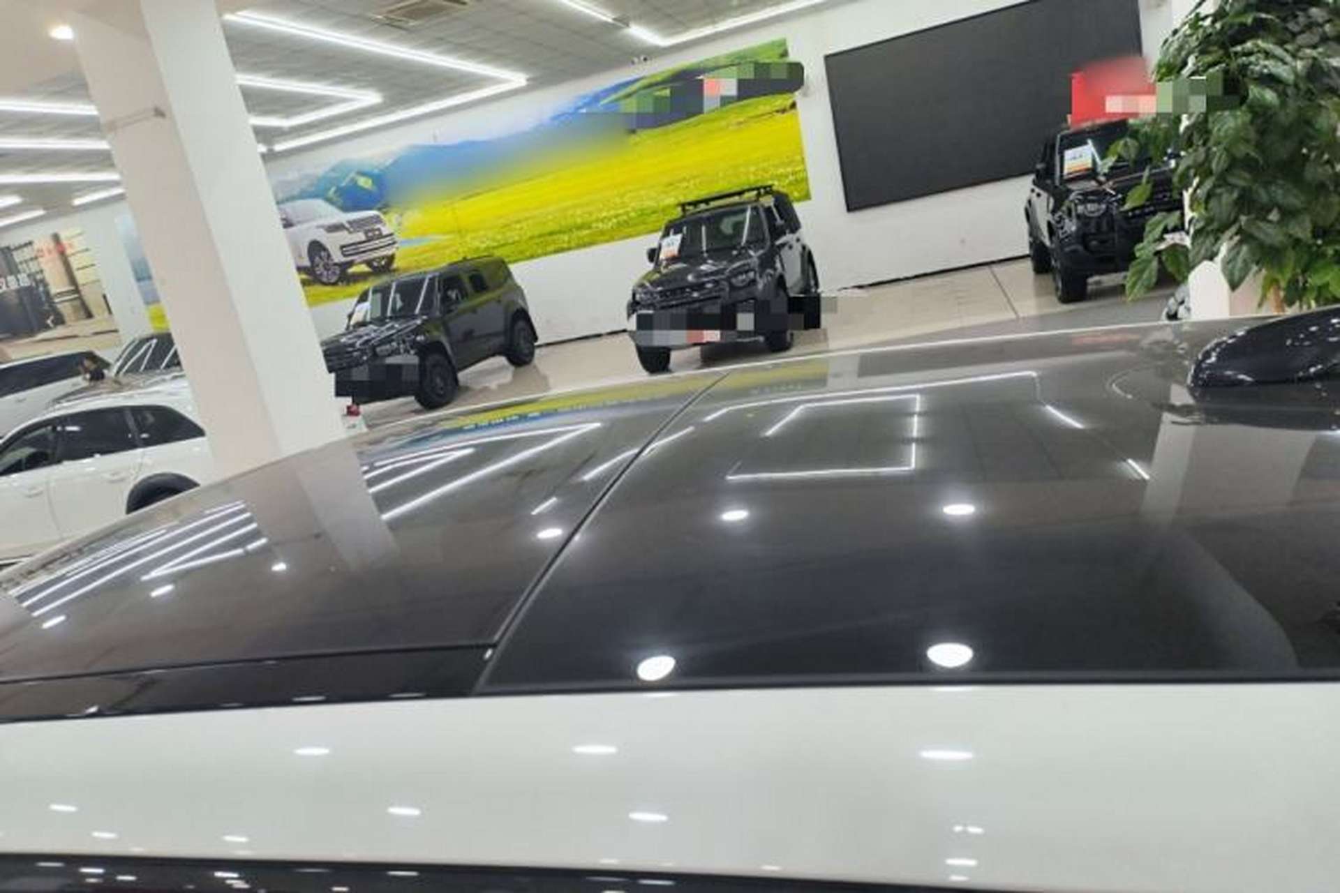 Used Land Rover Range Evoque 2023 Aurora L 249 PS Luxury Edition Roof