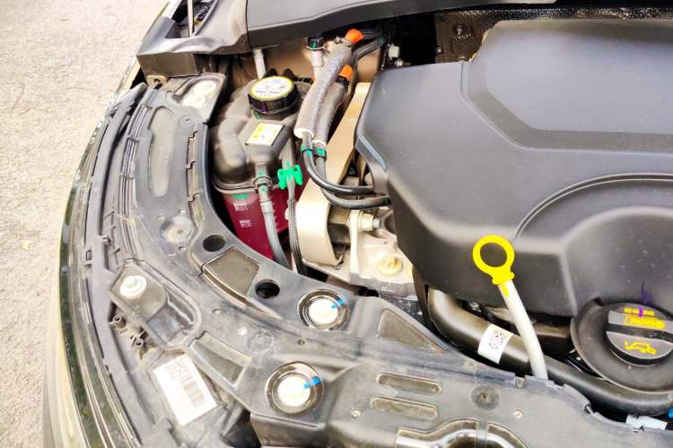 Used Land Rover Range Evoque 2024 Aurora L 249 PS Glowing Limited Edition Engine Bay Right