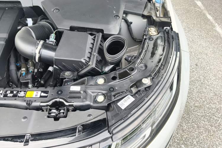 Used Land Rover Range Evoque 2024 Aurora L 249 PS Prestige Light-Chasing Edition Engine Bay Left