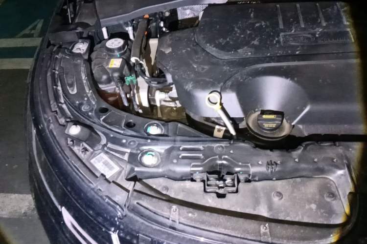 Used Land Rover Range Evoque 2024 Aurora L 249 PS Prestige Light-Chasing Edition Engine Bay Right