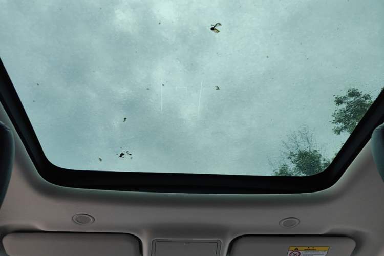 Used Land Rover Range Evoque 2024 Aurora L 249 PS Prestige Light-Chasing Edition Headliner