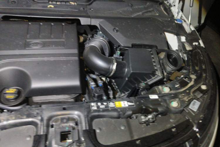Used Land Rover Range Evoque 2024 Aurora L 249 PS Prestige Light-Chasing Edition Engine Bay Left