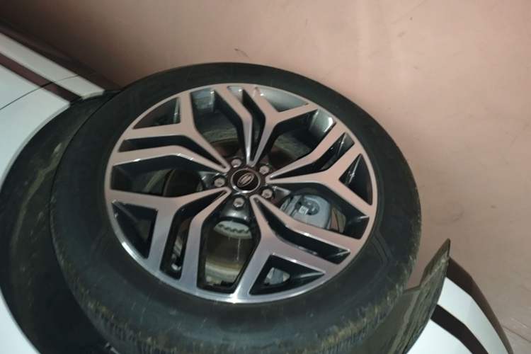 Used Land Rover Range Evoque 2024 Aurora L 249 PS Prestige Light-Chasing Edition Left Front Wheel Hub