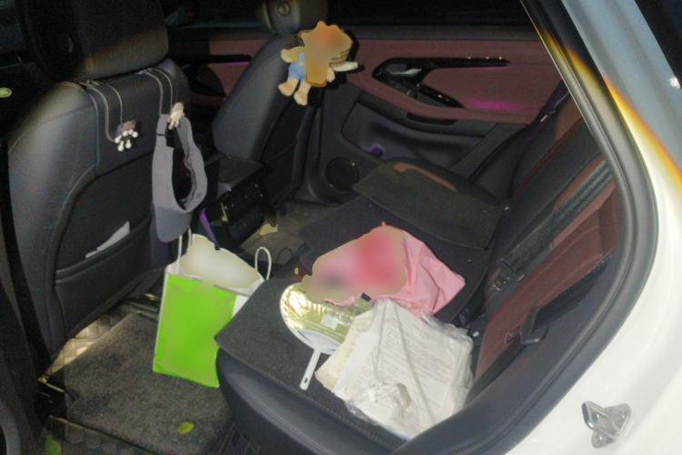 Used Land Rover Range Evoque 2024 Aurora L 249 PS Prestige Light-Chasing Edition Left Rear Seat