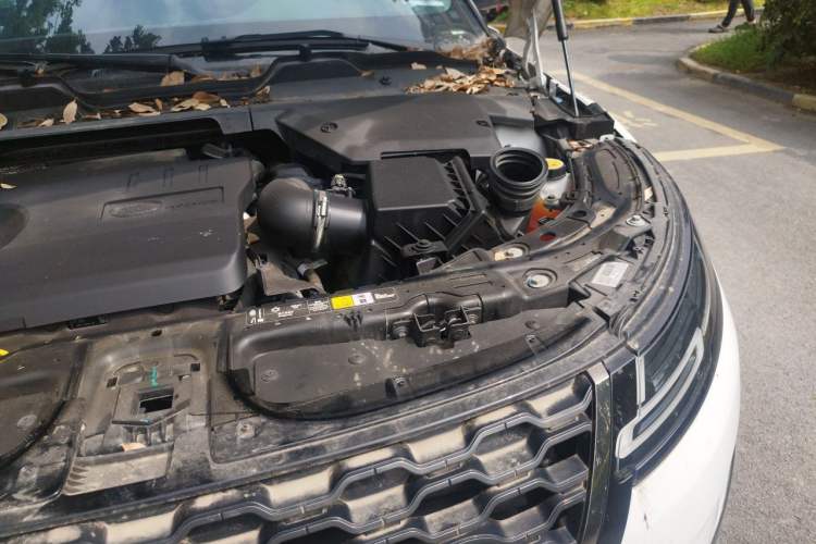 Used Land Rover Range Evoque New Energy 2022 Aurora L P300e Plug-in Hybrid Electric Version Engine Bay Left