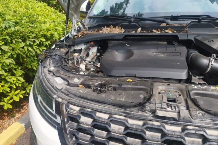 Used Land Rover Range Evoque New Energy 2022 Aurora L P300e Plug-in Hybrid Electric Version Engine Bay Right