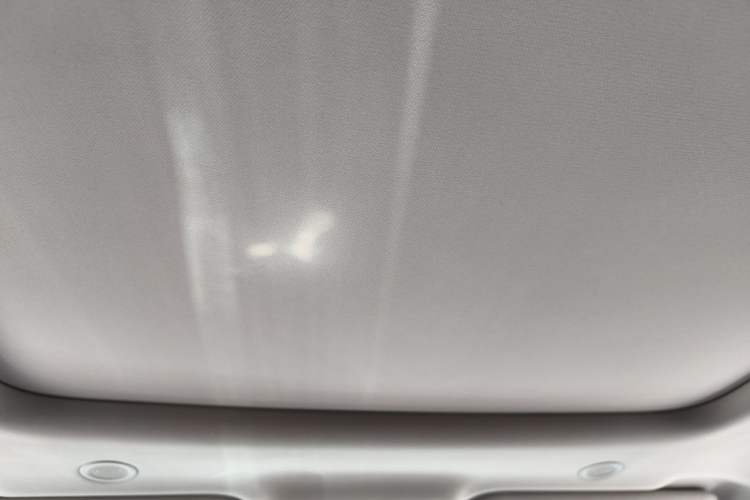 Used Land Rover Range Evoque New Energy 2022 Aurora L P300e Plug-in Hybrid Electric Version Headliner