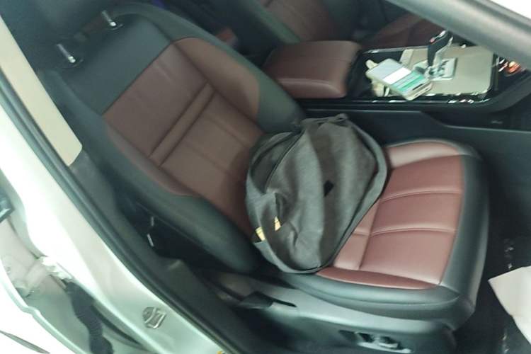 Used Land Rover Range Evoque New Energy 2022 Aurora L P300e Plug-in Hybrid Electric Version Right Front Seat