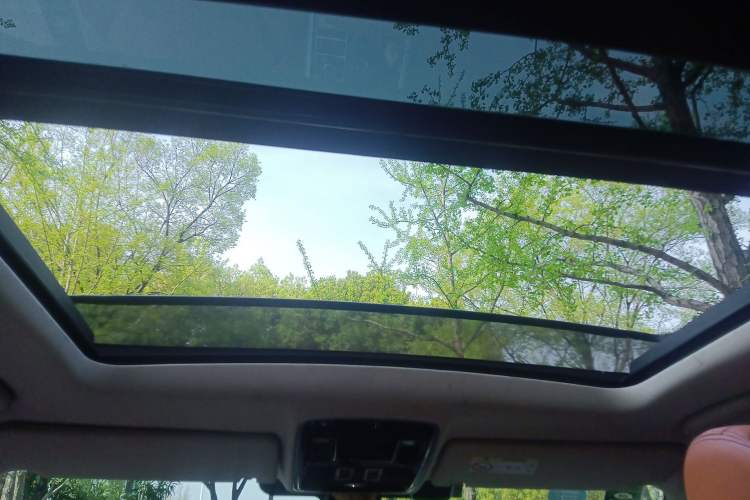 Used Land Rover Range Sport  Headliner