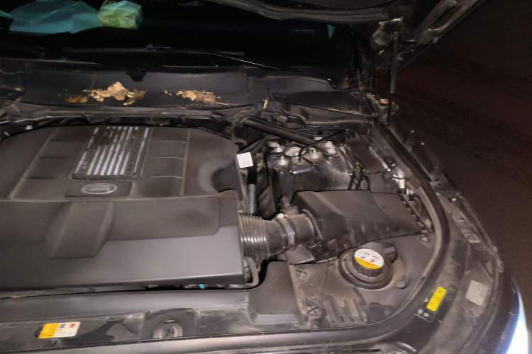 Used Land Rover Range Sport 2018 3.0 SC V6 HSE DYNAMIC Engine Bay Left