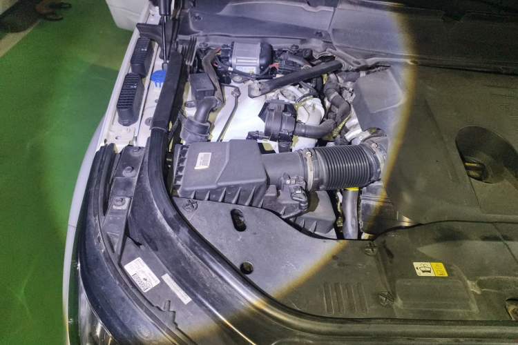 Used Land Rover Range Sport 2019 3.0 L6 HSE DYNAMIC Engine Bay Right