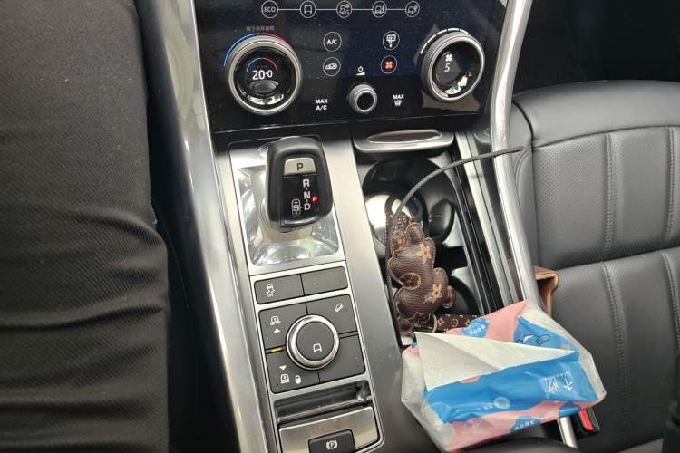 Used Land Rover Range Sport 2021 3.0 L6 SE Gear Lever