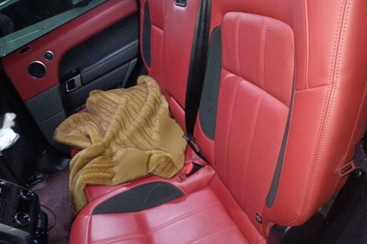 Used Land Rover Range Sport 2022 3.0 L6 YAO Black Edition Left Rear Seat