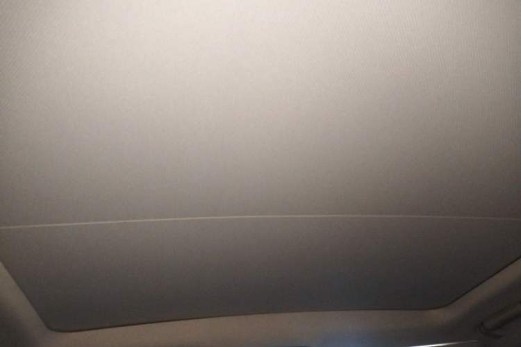 Used Land Rover Range Vogue  Headliner