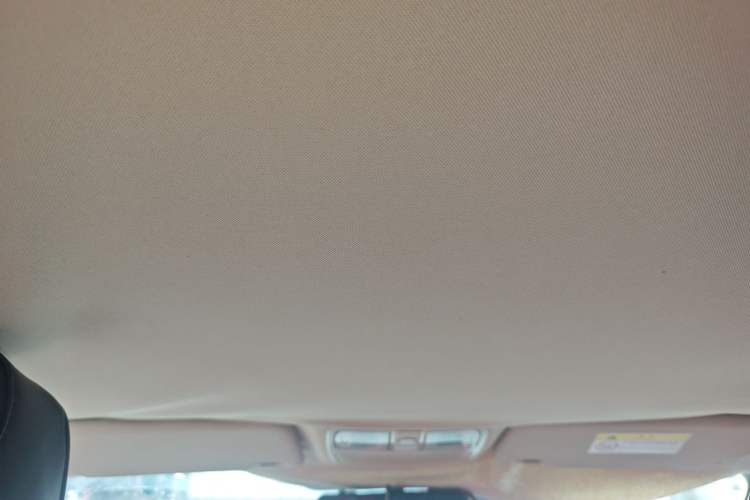 Used Land X2 2017 1.6L Automatic Jingrui Edition Headliner