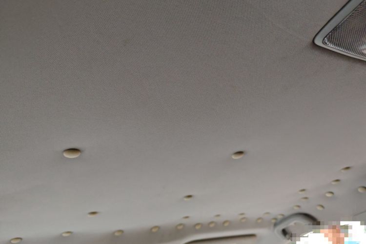 Used Land X2 2017 1.6L Automatic Sharp Edition Headliner